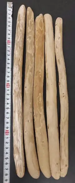 Item thumbnail for item 70cf3813-c2ce-49ff-b041-93df9da96eb8