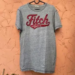 レア高級旗艦店限定全盛期新品ABERCROMBIE & FITCH Tシャツ