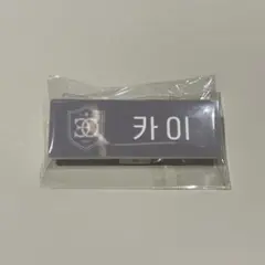 SMTOWN LIVE 2025 ネームバッジ EXO カイ