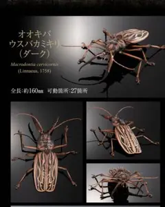 いきもの大図鑑 オオキバウスバカミキリ ダーク オンライン版