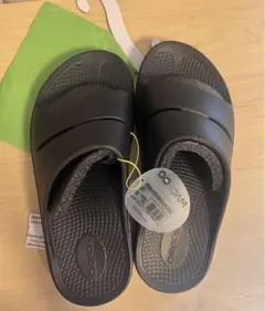 Item thumbnail for item 6f7b285e-6e27-4ba2-a550-a416ca691210