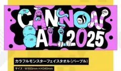 CANNON BALL キャノンボール タオル