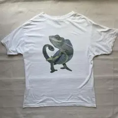 【名品】90s〜00s プロモーションTee カメレオンプリント Tシャツ