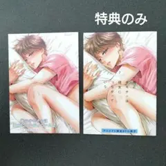 俺のオモチャは親友につながっている 2 アニメイト 小冊子 & リーフレット