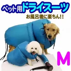 Item thumbnail for item f6c6bf14-72c9-4f98-82b4-16393988694f
