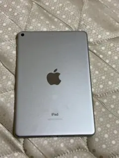 Apple iPad mini 第5世代本体のみ 表示不良あり