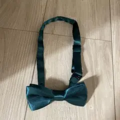 Item thumbnail for item 2271007d-ac13-4c38-babb-9d8193344f8d