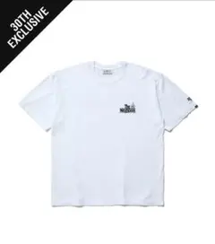 Item thumbnail for item 0bd5ea29-f594-480a-8d91-fb5cc0943ae0