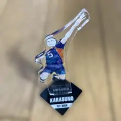 ハイキュー!! KARASUNO アクリルスタンド　田中龍之介