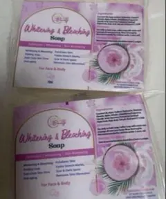 Item thumbnail for item ee3b66e7-371e-44f6-9d1a-27ffbf51c356