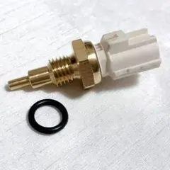 Item thumbnail for item c2c223a2-0ea5-4a06-9b48-6e1cfd6496a4
