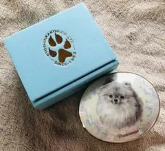 犬　ポメラニアン　ジュエリーケース　小物入れ　インテリア