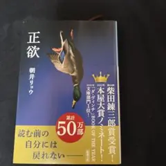 正欲