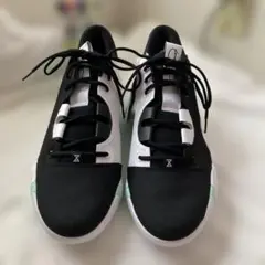 Item thumbnail for item c83af696-b3a7-4868-8dff-ae2e9b21eeda