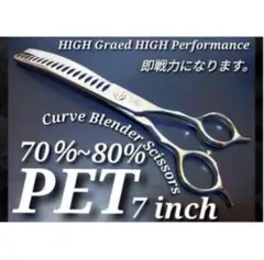Item thumbnail for item a407d195-7bf2-4bfb-94a3-ee6ad102cae8
