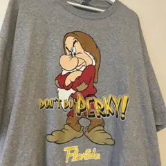 Disney 白雪姫　7人のこびと　おこりんぼう　Tシャツ