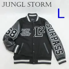 Item thumbnail for item 80cff1f0-4520-48f5-b658-dbc7ae1f7c54