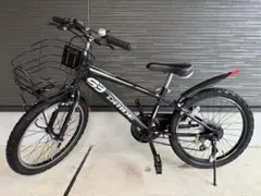引取限定　東京東部　ドライド20インチ あさひ（自転車） 7/26・27はボーナスストア＋5％「西日本限定