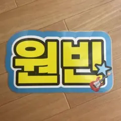 riize ウォンビン　うちわ文字　ネームボードネームプレート　ライブ