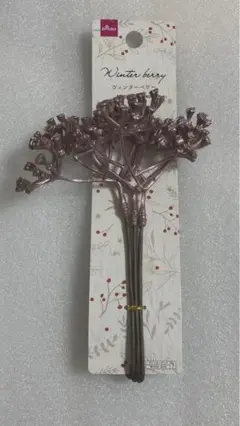 DAISO ウィンターベリー