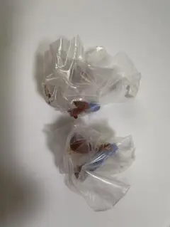ウッディ ならぶんです