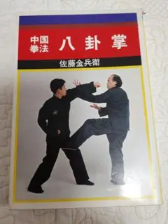 マココさん専用　内家拳 秘伝口訣　佐藤金兵衛 2025年最新】佐藤金兵衛の人気アイテム - メルカリ