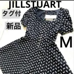 Item thumbnail for item 3f375593-7b42-480b-935b-eb3d44db4b69