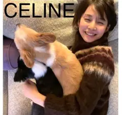 CELINE セリーヌ 石田ゆり子 アイル柄ニット プルオーバー セーター