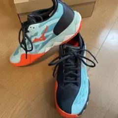 ミズノ ウエーブエンフォース24 cm テニスシューズ オムニクレー用
