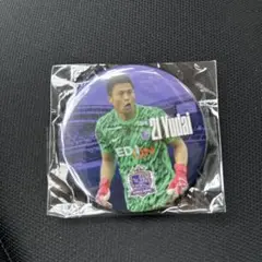 サンフレッチェ広島　缶バッジ　田中雄大選手