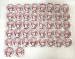 にじさんじ 赤城ウェン Half Anniversary 缶バッジ 42個