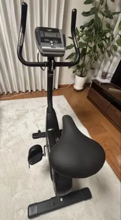 ALINCOアルインコ エアロバイク AF6200SP サドルカバーおまけ