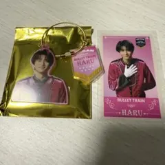 エビライ グッズ 超特急 ハル