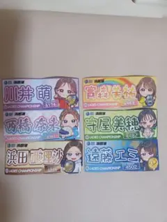 ボートレース　浜名湖　競艇　レディースチャンピオン　ステッカー　６枚