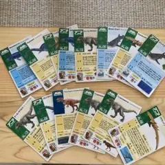 アニア　カード