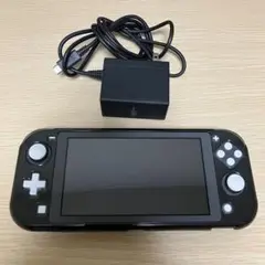 Nintendo Switch Lite グレー 本体　充電器付き