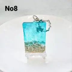 小さな海 海亀 サンゴ砂 ヒトデ No8