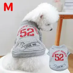 Item thumbnail for item d68bd121-2611-4fb4-8dd3-452480411fc6