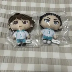 ハイキュー!! ぬいぐるみマスコット2 及川 岩泉