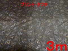 Item thumbnail for item ba74465c-8956-46fa-9cef-79b29d470e5f