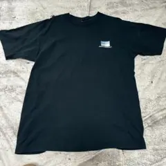 USA輸入　半袖 古着 ヴィンテージ　Tシャツ　夏服　ピンクサンズ