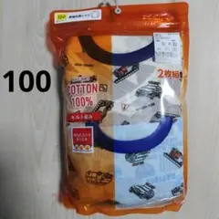 新品　100cm　長袖肌着　2枚組　綿100%　中わた
