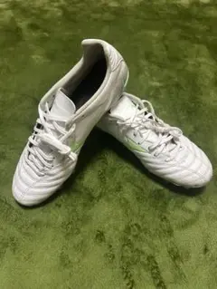 Mizuno モナルシーダネオ 3 プロ 26cm