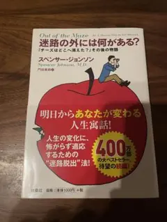 Out of the Maze 迷路の外には何がある？