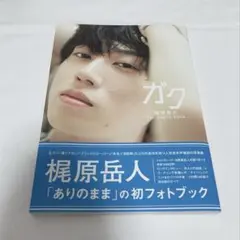 梶原岳人 限定チェキ フォトブック 写真集 Amazon.co.jp: 梶原岳人 チェキ フォトブック 写真集 : おもちゃ