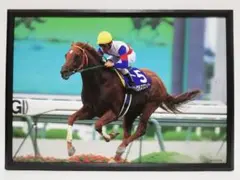 Item thumbnail for item b0efbce4-b1ca-4edf-b24f-c7cf3f398637