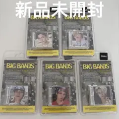 WayV BIG BANDS smini セット