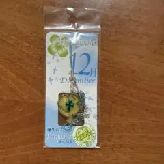 Item thumbnail for item 8cc44035-e2fb-40be-a0c3-5f2a59865ea3