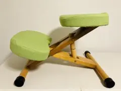宮武製作所 プロポーションチェア グリーン パープル