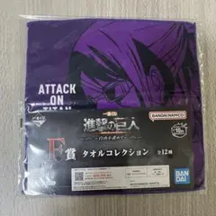 進撃の巨人 一番くじ　ハンジ　F賞 タオルコレクション